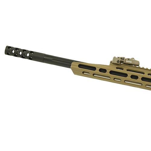 APS 110 AEG blowback RIS version Tan