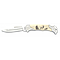 Couteau pliant ALBAINOX. Cerf. 8 cm