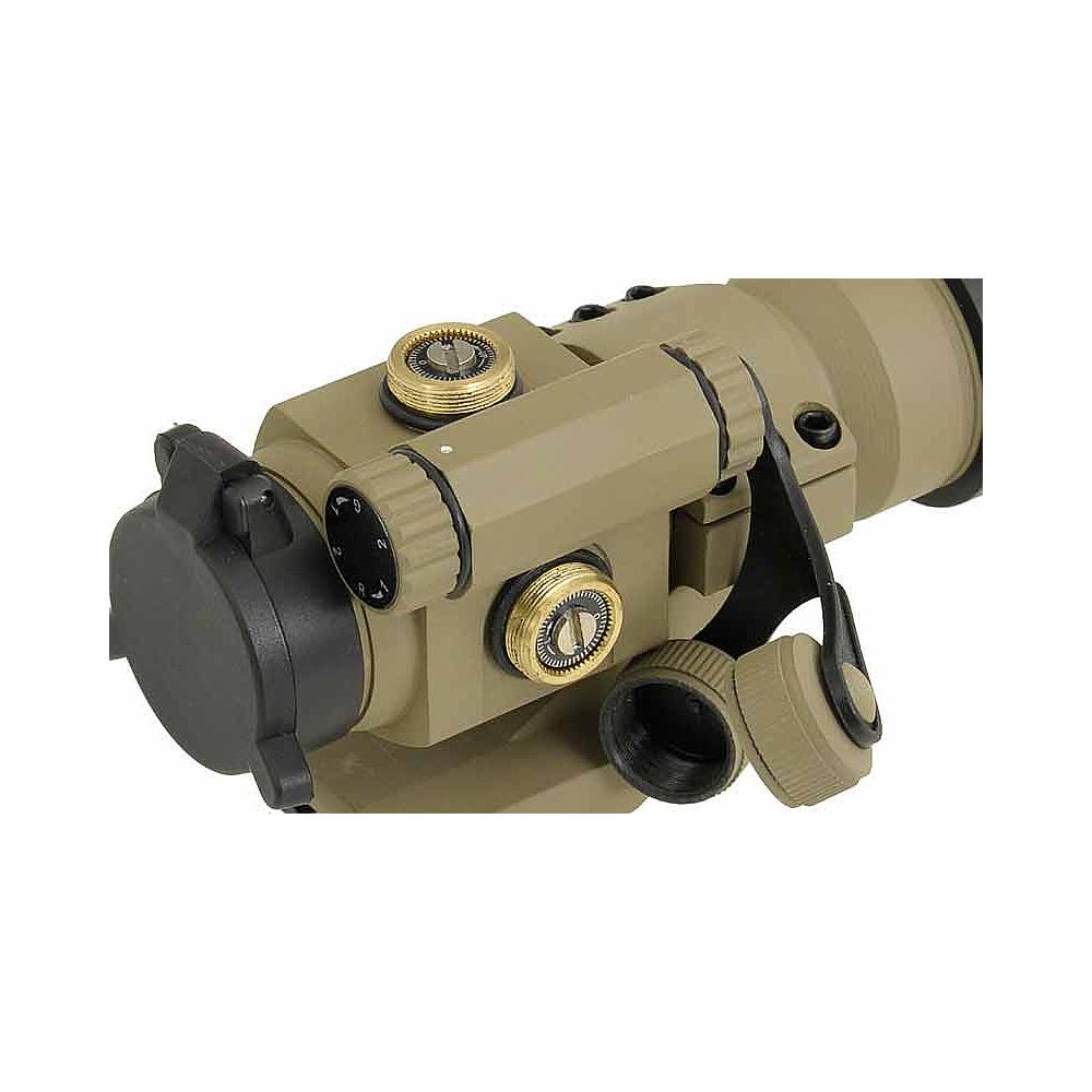 Point Rouge Coyote - ACM