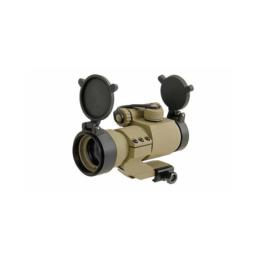 Point Rouge Coyote - ACM