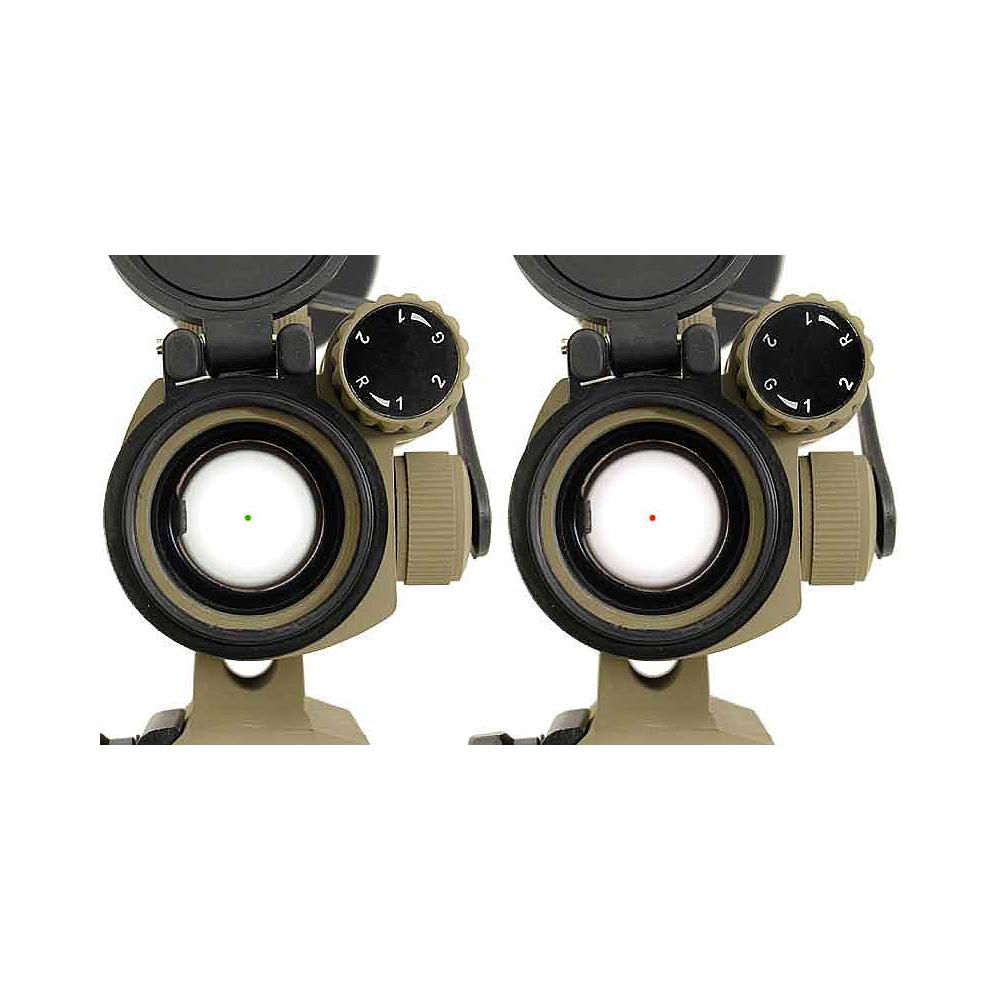 Point Rouge Coyote - ACM