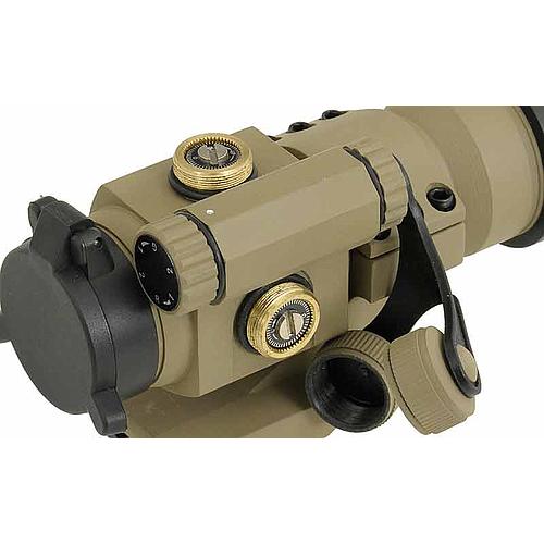 Point Rouge Coyote - ACM