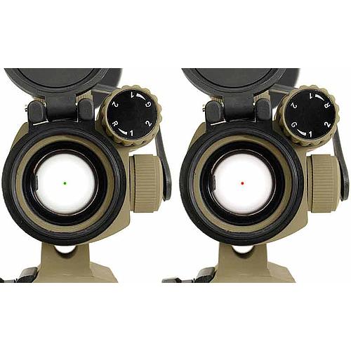 Point Rouge Coyote - ACM