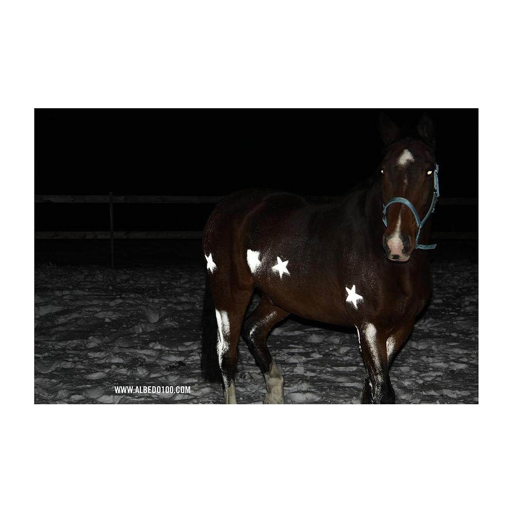 Spray Réfléchissant 100 - Invisible Bright 10 - Albedo - 100ML